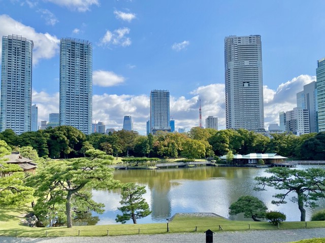 中島の御茶屋からの景観