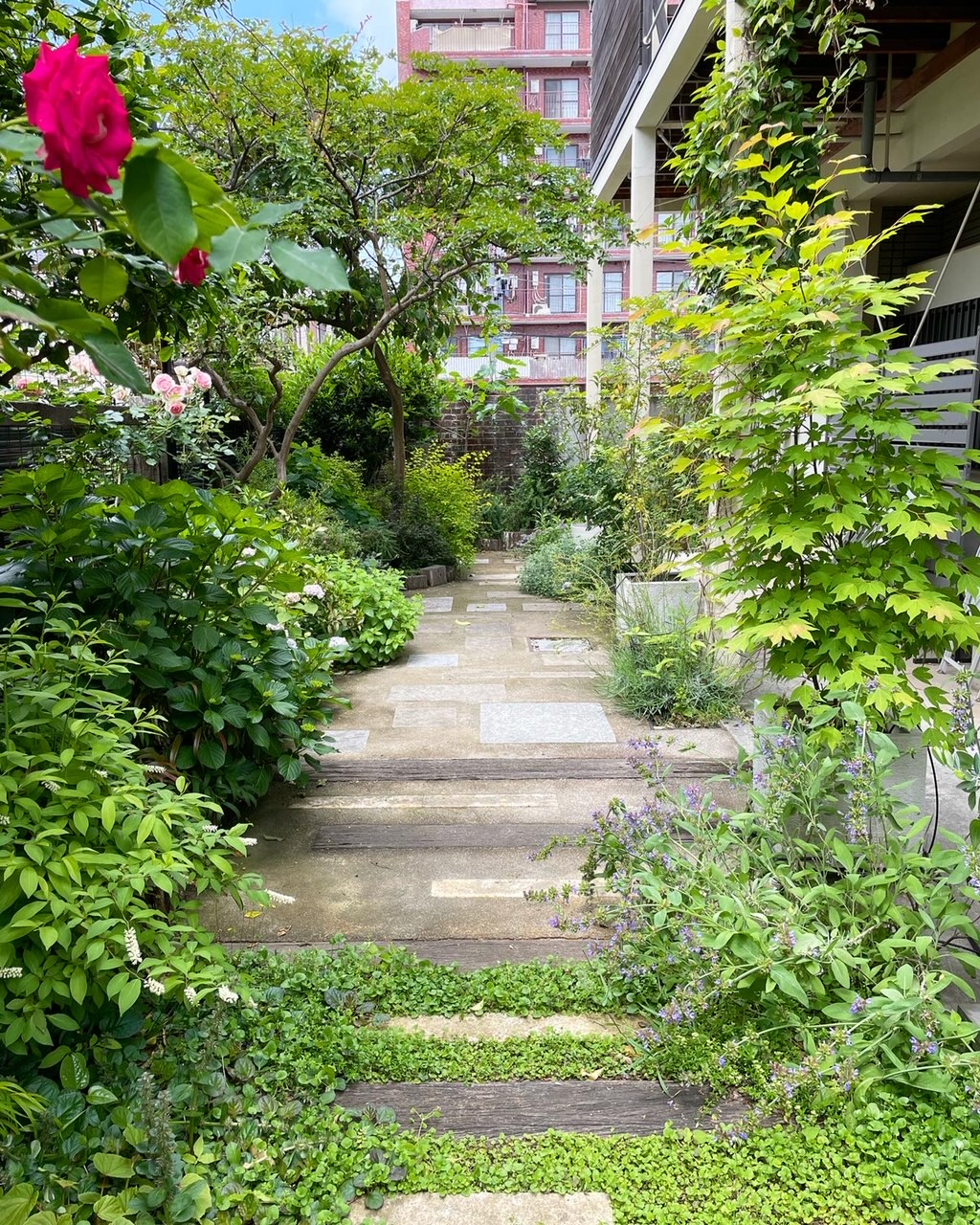 Book & Garden カフェ里葉のお庭