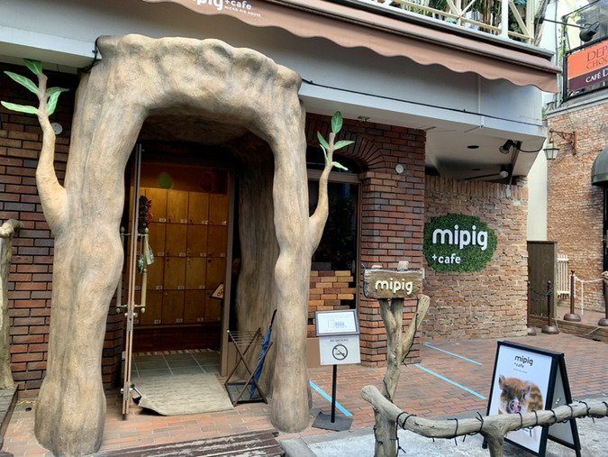 mipig cafeの外観