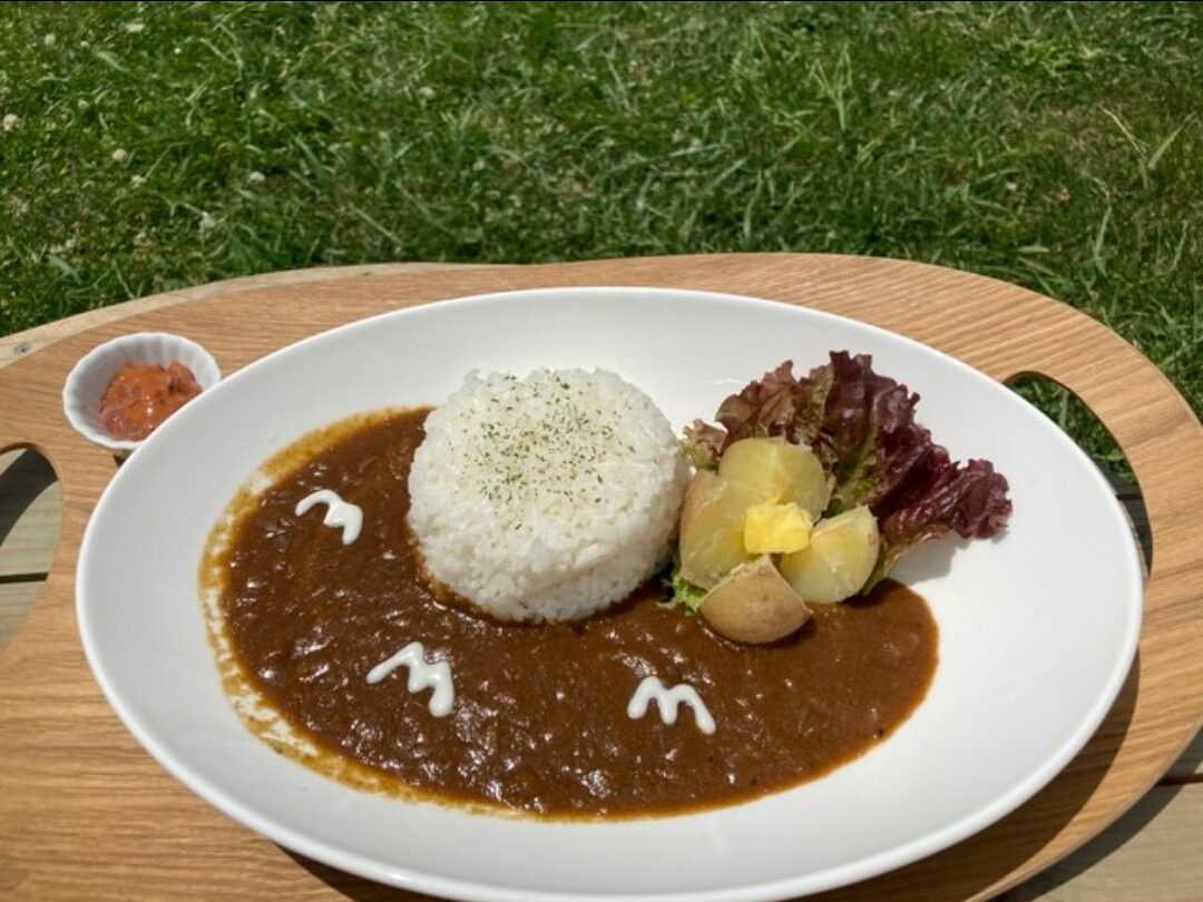 海カフェたねさしのオリジナルスパイシーカレー