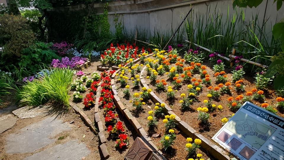 茶寮かだんの花壇