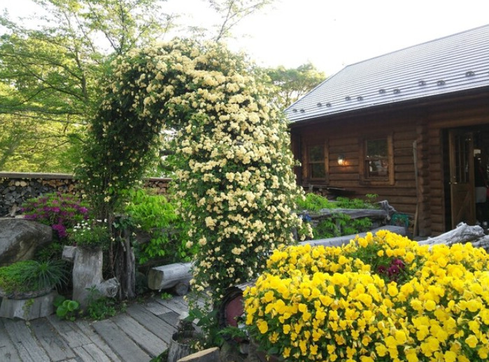 シャーレ水ヶ浜の花のアーチ