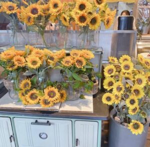 サンデーブランチ 下北沢店 東京都 ボタニカルな雰囲気のカフェ